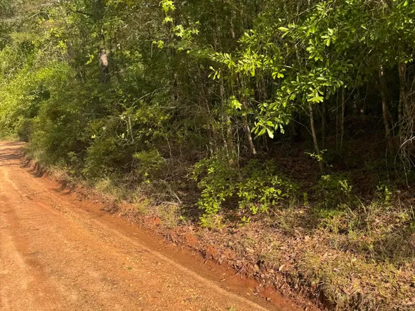 0 Bryant Ln, Magee, MS 39111