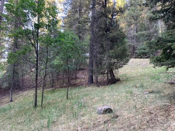 110 Wimsatt Loop, Cloudcroft, NM 88317