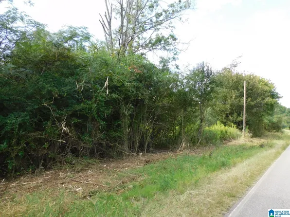 1409 Creswell Rd #0, Harpersville, AL 35078