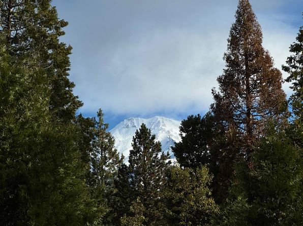 1371 Northridge Dr, Mount Shasta, CA 96067