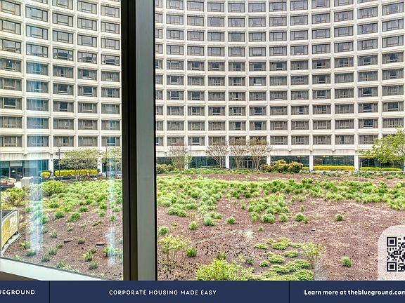 Window View