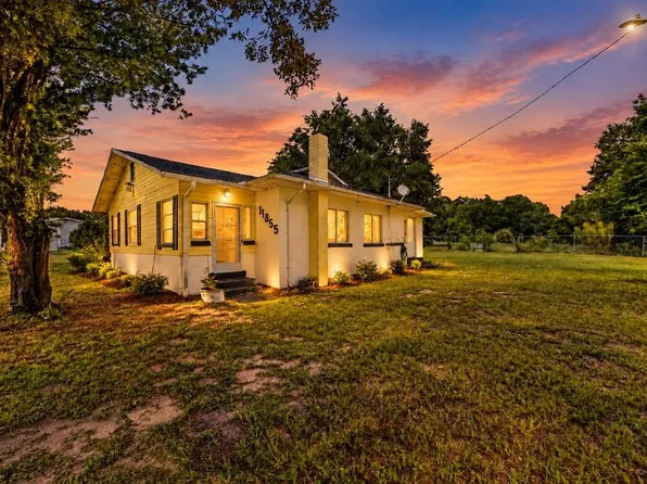 11855 SE 141ST TERRACE, OCKLAWAHA, FL 32179