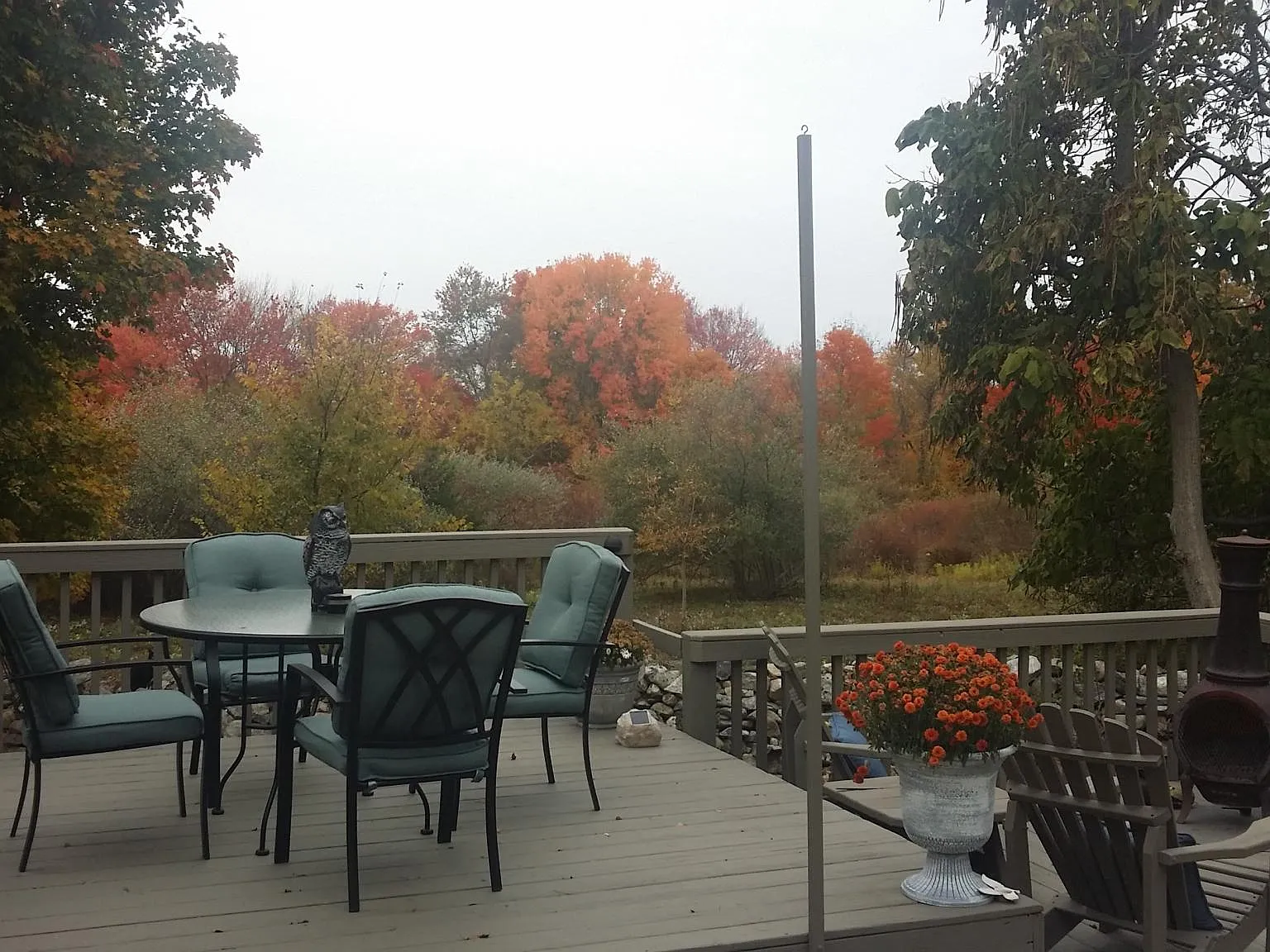 Bona Vista Ter, Shelton — Photo 3