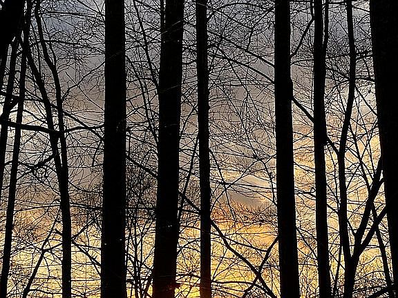 Beautiful winter views