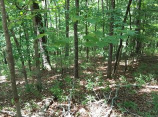 Seth Hyatt Rd, Ellijay, GA 30540