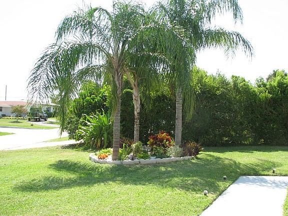Landscaped Yard