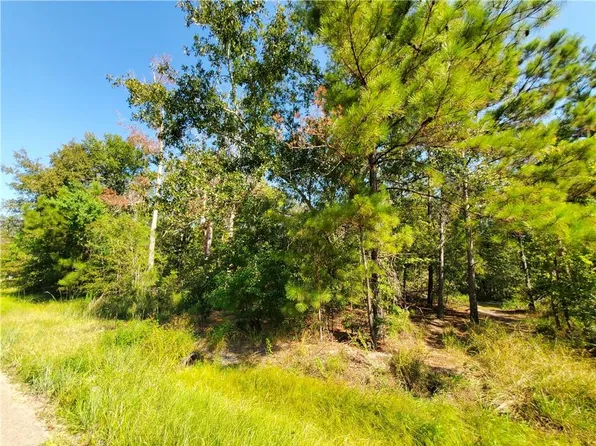 22357 Quail Hollow Rd, Loranger, LA 70446