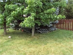 3rd image of 8691 Kirkland Dr
