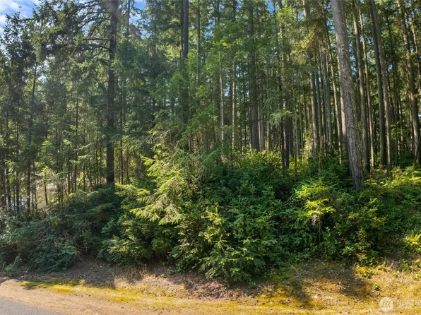 10018 Edgewood Drive, Anderson Island, WA 98303