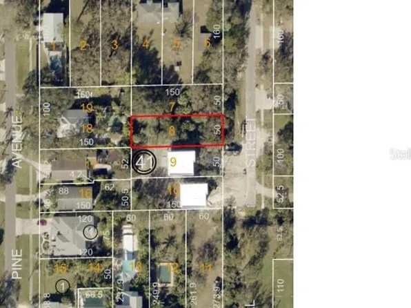 502 Federal St Lot 8, Oldsmar, FL 34677