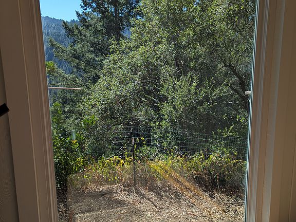 Living room picture window view