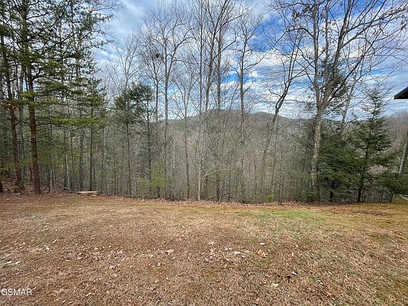 3rd image of LOT 79 Whetstone Rd