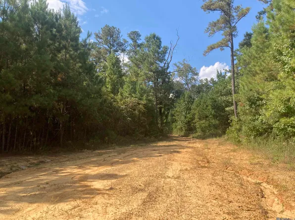 TRACT Old Jackson Ln #A, Jackson, LA 70748