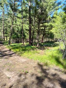 1825 Copper Cliff Dr, Bonner, MT, 59823