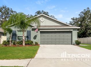 10242 Strawberry Tetra Dr, Riverview, FL 33578