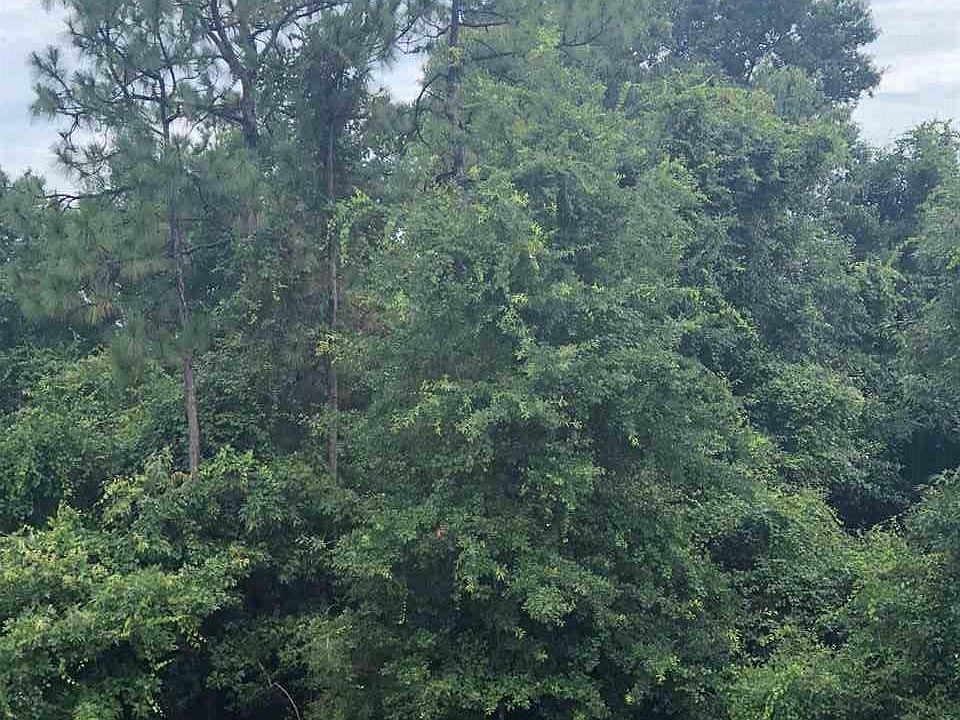 2nd image of 8537 Salt Grass Dr W