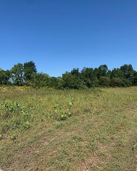 Castle Rd, Otter Lake, MI 48464 MLS 2210073640 Zillow