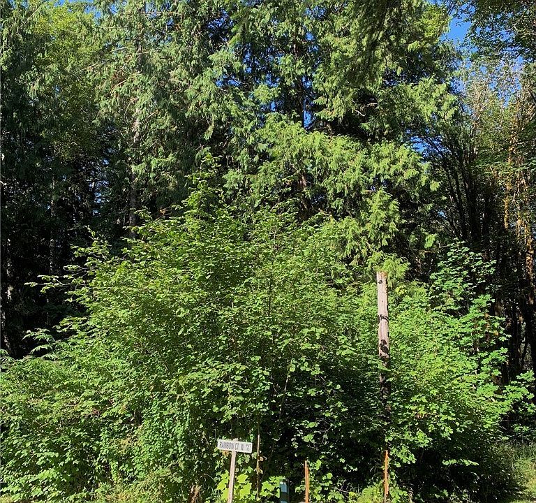 2nd image of 102 Rainbow Ct W