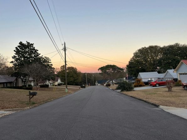 49 Lakeside Dr, Level Plains, AL 36330