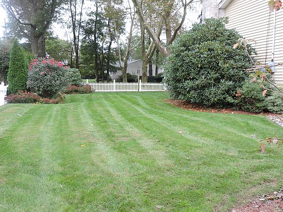 Lawn