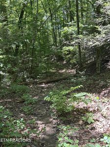 0 Lower Powdermill Rd, Sevierville, TN, 37876