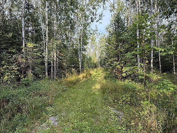 3rd image of 8018 Mielke Rd