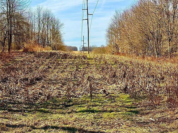 5th image of 0 Cannery Rd E