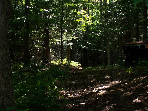 trail back to town trail