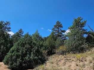 73 Alpine Way, Cotopaxi, CO