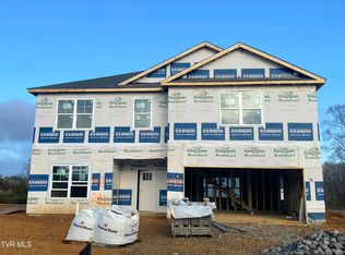 241 Artist Ave, Johnson City, TN 37615