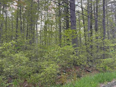 Lot 80 Currier Road, Candia, NH, 03034