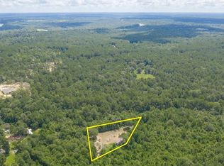 391 Franklyn Rd, Coldspring, TX 77331