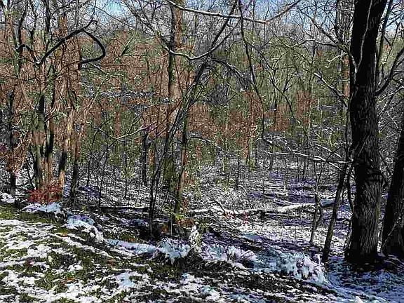 3rd image of 0 Cove Mountain Ln Lot 10