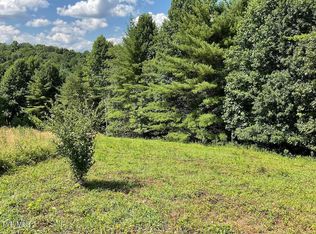 55 Laurel Way, Mountain City, TN 37683