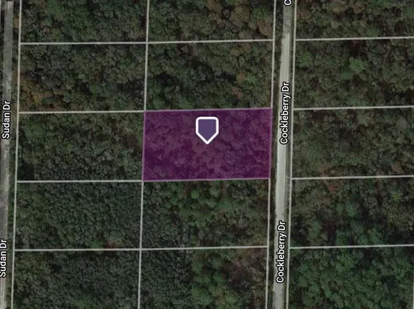 Cockleberry Dr Lot 5, Webster, FL 33597