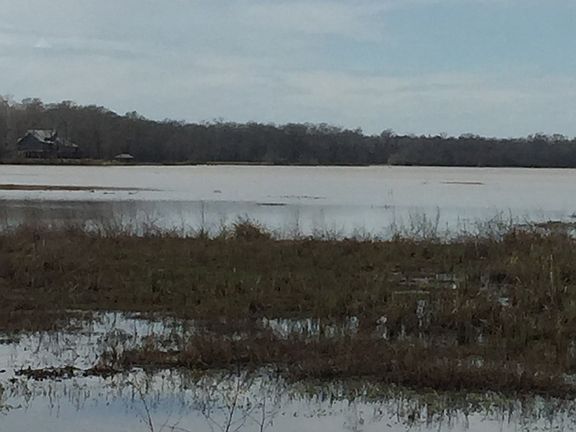 3rd image of Brushcreek Dr
