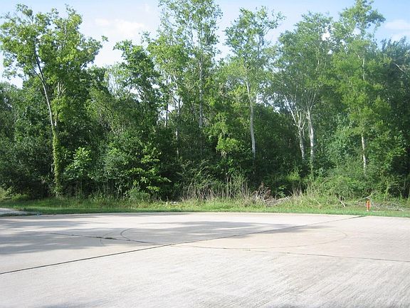 5th image of 7803 Bee Hollow Ct