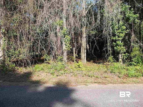 3rd image of 0 Ernest Patterson Rd
