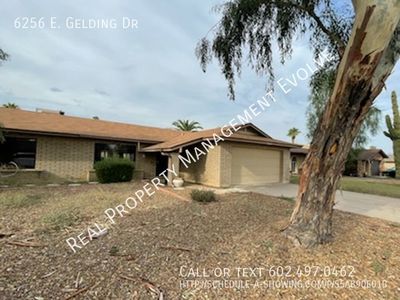 6256 E Gelding Dr, Scottsdale, AZ, 85254