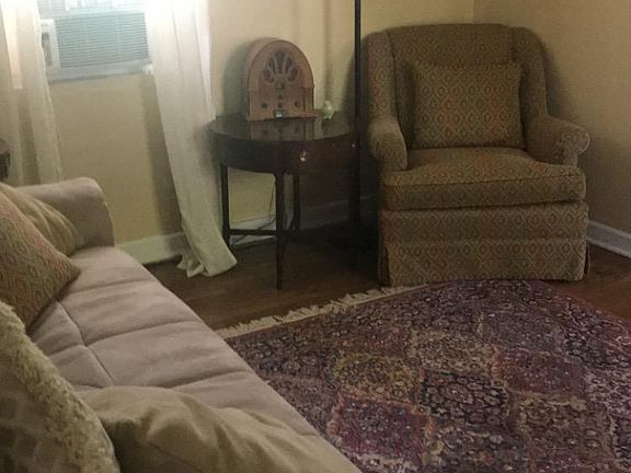 Living room has a futon for extra sleeping