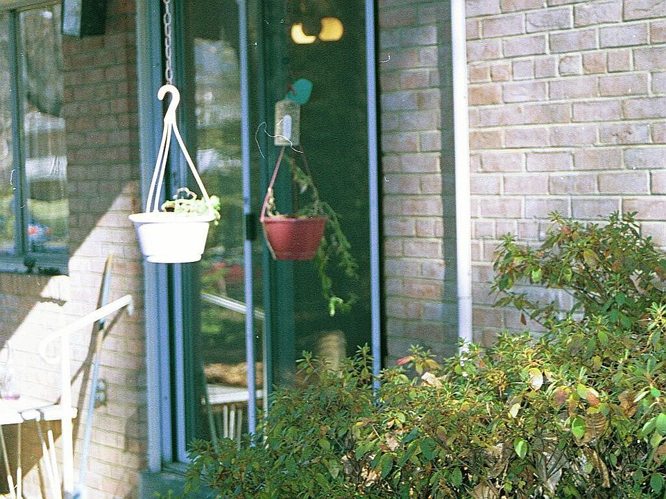 Back patio 