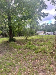 488 Margaret St Lot 17, Bronson FL - Owner Finance Home