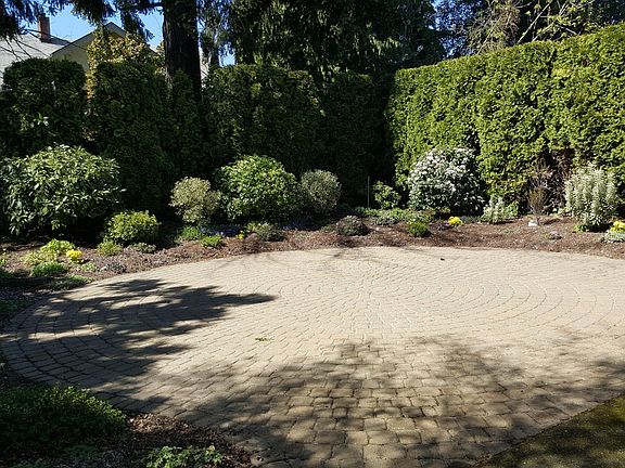 Back yard