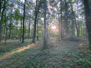 1310 Hickory Ln, Auburn, AL 36830