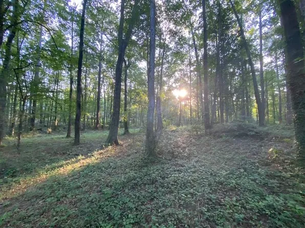 1310 Hickory Ln, Auburn, AL 36830