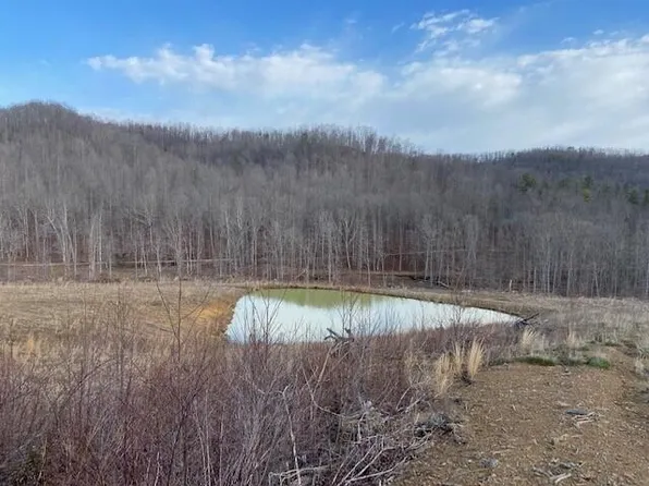 4555 Straight Fork Rd, Vanceburg, KY 41179