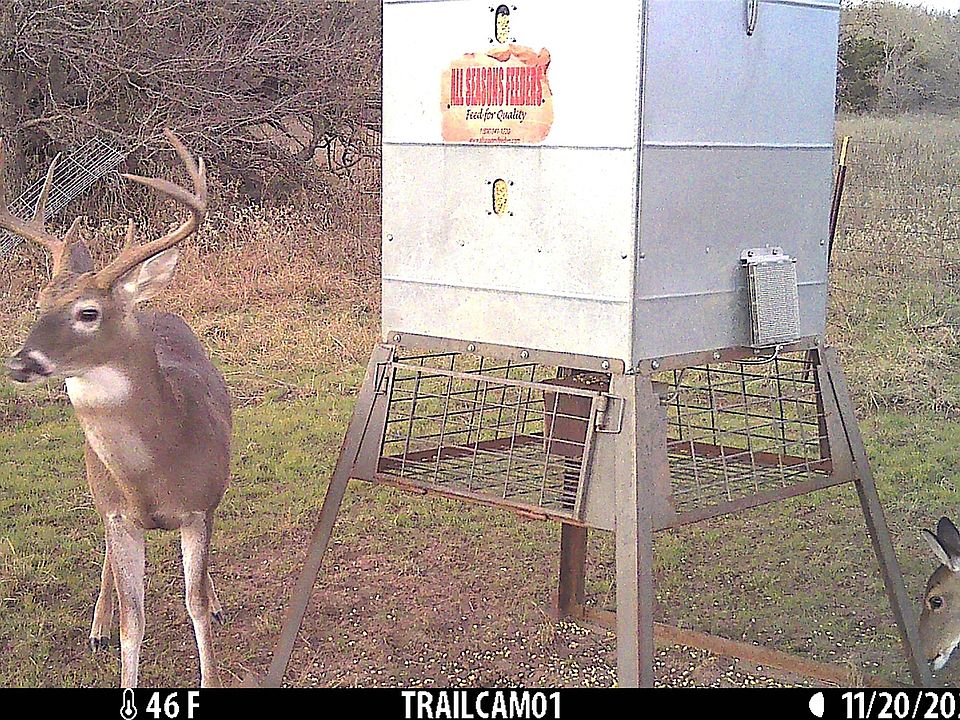 1st image of 10850 281st Hwy
