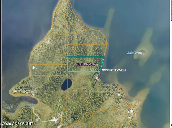 Ll10 Lake Louise Lot 19, Glennallen, AK 99588