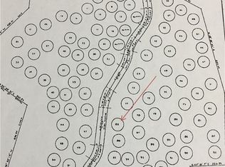 83 Chikamin Peak Rd, Snoqualmie Pass, WA 98068