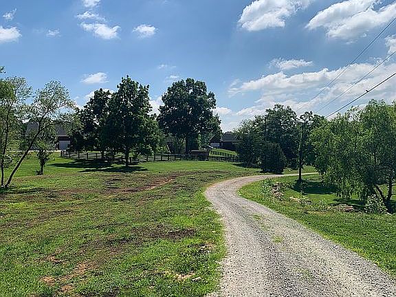 4th image of 264 Eagles Bluff Ct